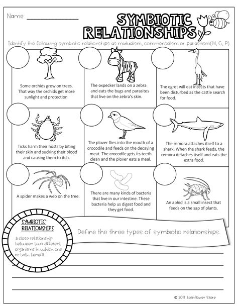 Symbiosis Answer Key Worksheets Learny Kids Symbiosis Worksheet And Answer Key - Symbiosis Worksheet And Answer Key