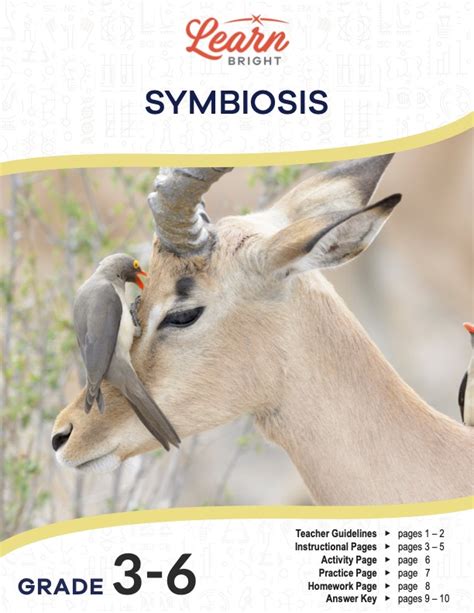 Symbiosis Free Pdf Download Learn Bright Which Symbiosis Is It Worksheet - Which Symbiosis Is It Worksheet