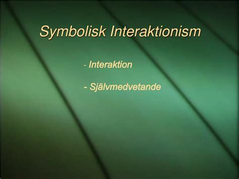 symbolisk interaktionism