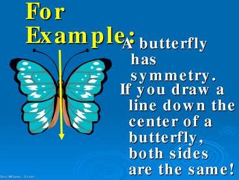 Symmetry Powerpoint By Susan Williams Tpt Symmetry Powerpoint 4th Grade - Symmetry Powerpoint 4th Grade