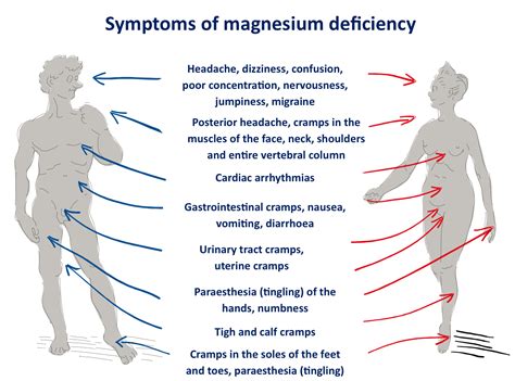symptom magnesiumbrist