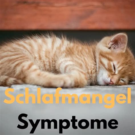 symptome von schlafmangel