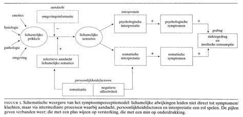 symptoom interpretatie