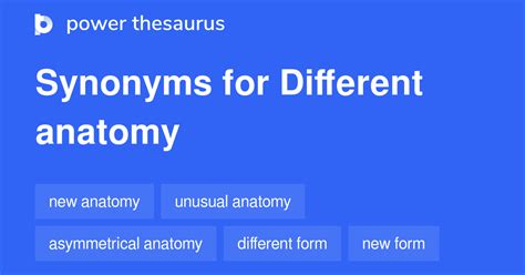 Synonyms Of Anatomy