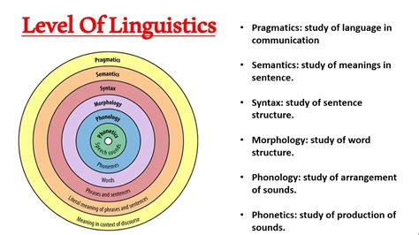 Syntax Semantics And Pragmatics Of Contexts