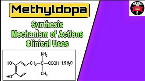 Synthesis Of Methyldopa