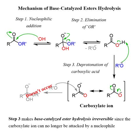 Read Online Synthesis Of An Ester Linfield 