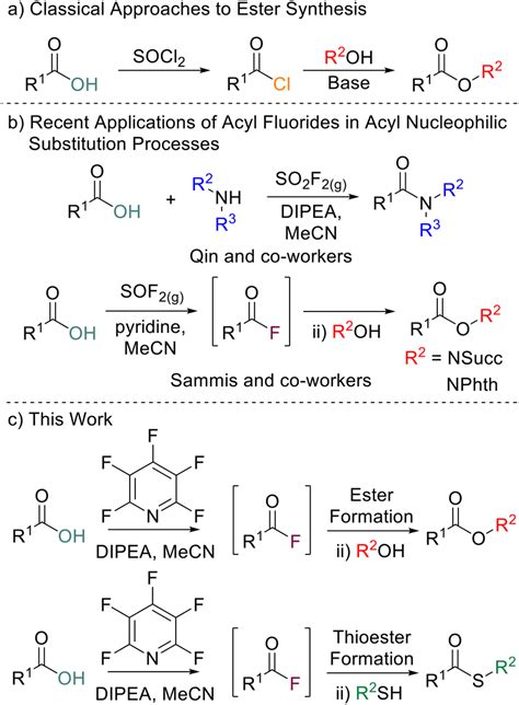 Read Online Synthesis Of An Ester Linfield 