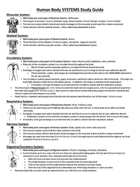 Full Download Systems Study Guide 