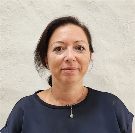 systemutvecklare liu