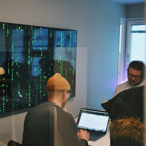 systemutvecklare program