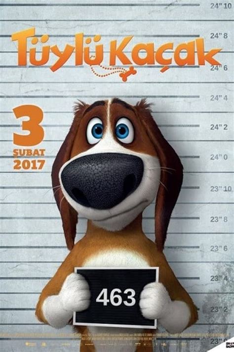 tüylü kaçak izle türkçe dublaj — Yandex: 7 bin sonuç bulundu. 
