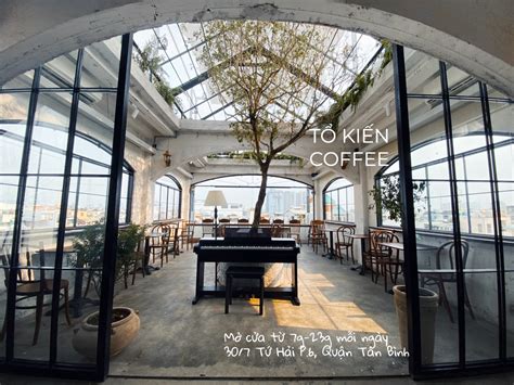 tổ | Tra t t T in Hn Nm