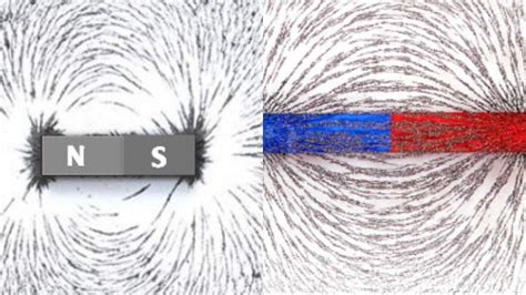 từ phổ là | T ph l g VietJack