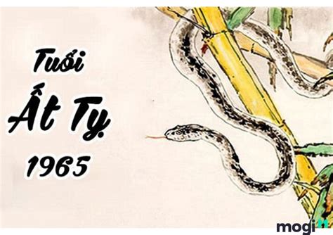 tỵ | Tui T sinh nm bao nhiu Phong