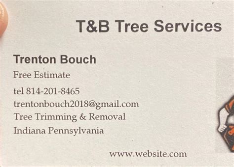 t  b tree service