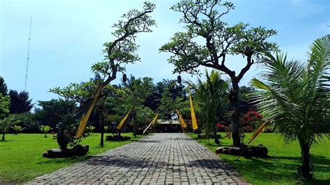 t garden | The Tgarden Nc p Ti Nguyn Cht