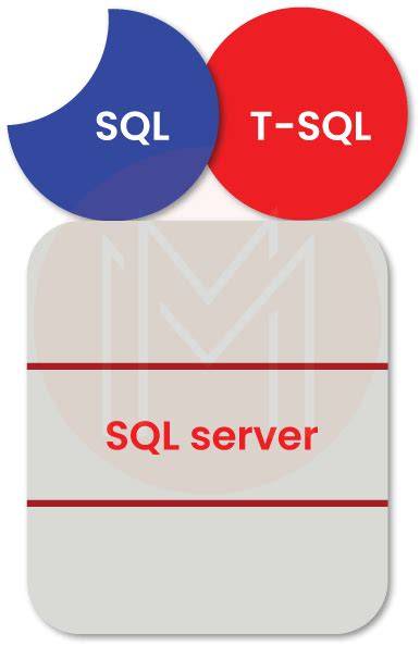 t sql programming