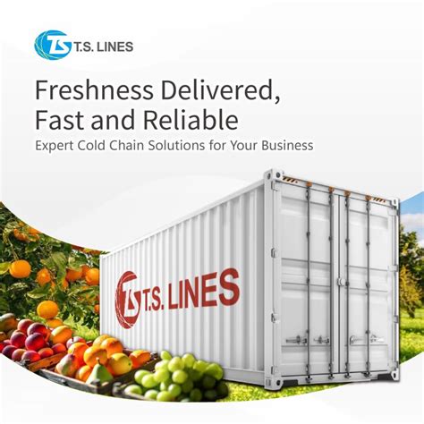 Read Online T S Lines Ltd 