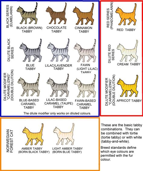 tabby colors