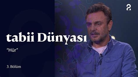 genssuffweb.rgarabwor.edu.pl. 