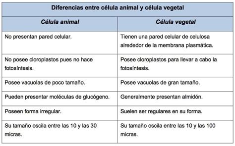 Tabla Comparativa Ejemplo
