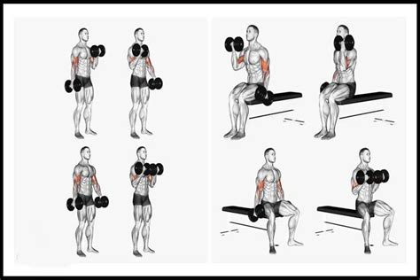 Tabla Ejercicios Biceps