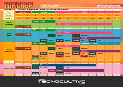 Tabla Top Crop