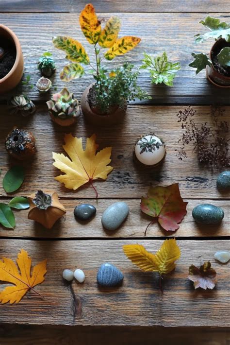 Table 1 Nature