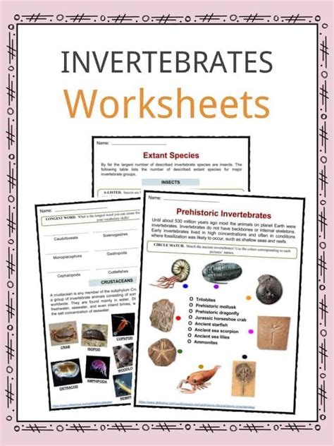 Table 3 Invertebrate Worksheet   Periodic Table Worksheets - Table 3 Invertebrate Worksheet