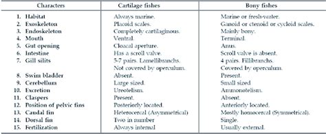 Tabulate The Differences In The Characteristics Of Matter