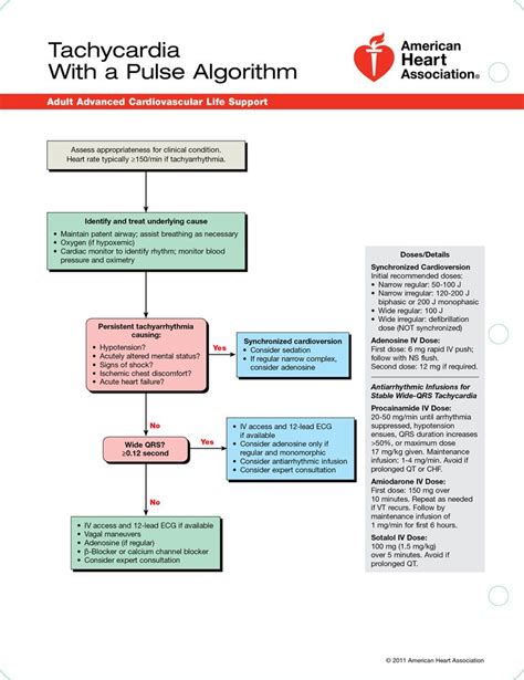 tachycardia with pulse algorithm Acls, Acls algorithm, Emergency nursing