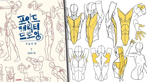 Taco Anatomy Book