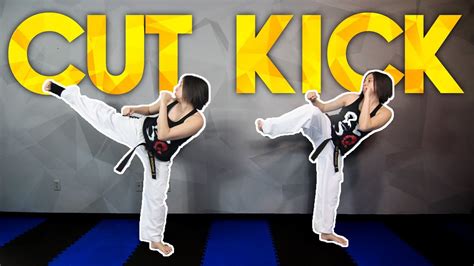 Read Online Taekwondo Kick Guide 