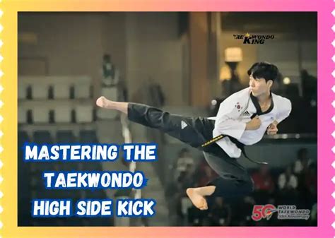 Full Download Taekwondo Kick Guide 