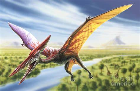 taken by a pterodactyl