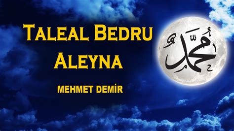 Taleal Bedru Aleyna
