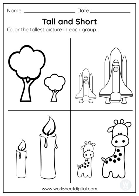 Tall Amp Short Worksheets For Preschool Free Printables Tall And Short Activities For Kindergarten - Tall And Short Activities For Kindergarten