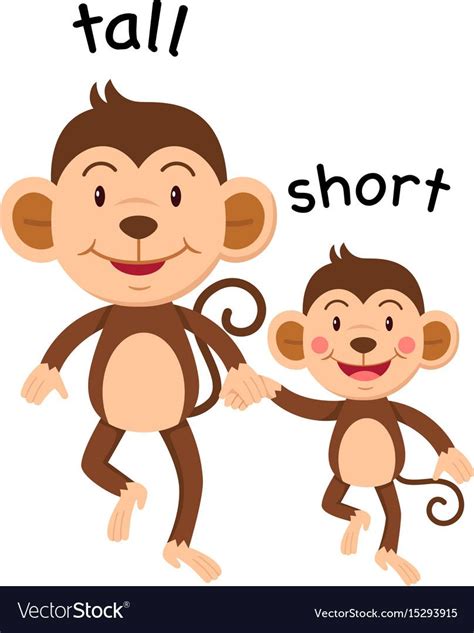 Taller Or Shorter How To Compare And Contrast Tall Tell Worksheet 6th Grade - Tall Tell Worksheet 6th Grade