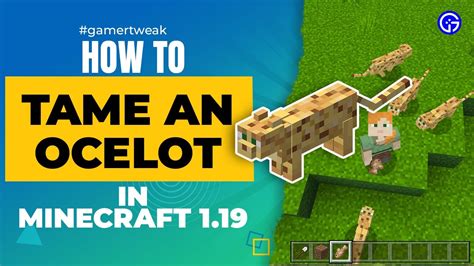 tame a ocelot in minecraft