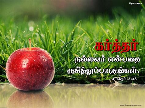 Tamil Bible Verses Photos Download The Best Free Bible Verse Wallpapers In Tamil - Bible Verse Wallpapers In Tamil