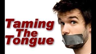 Download Taming The Tongue Why Christians Should Care About What They Say 
