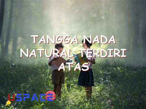 TANGGA NADA NATURAL TERDIRI ATAS - 7 Jenis Tangga Nada Natural dalam Dunia Musik