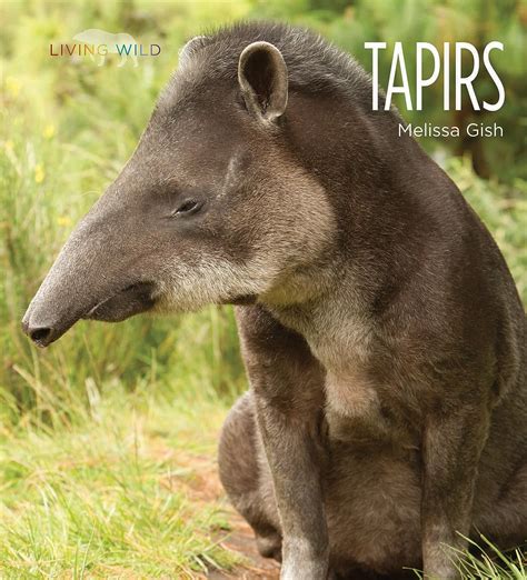 tapirs living wild