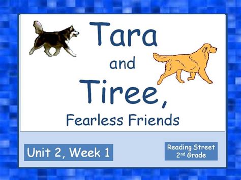 Taraa And Tiree Fearless Friends Grade 2 Reading Reading Street 2nd Grade Stories - Reading Street 2nd Grade Stories