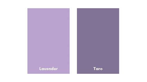 Taro Warna  Jangan Tertukar Ini Perbedaan Warna Taro Dan Lavender - Taro Warna