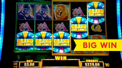 tarzan grand slot online free bopd france