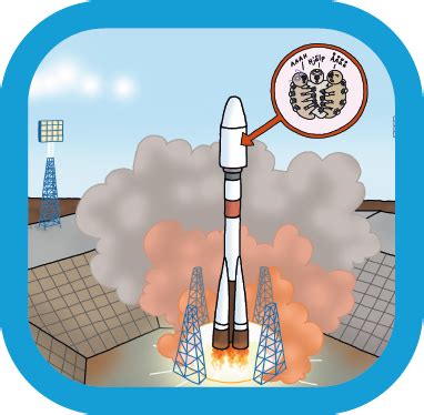 Task 1 The Space Rocket Math Playground The Math Playground Space Boy - Math Playground Space Boy
