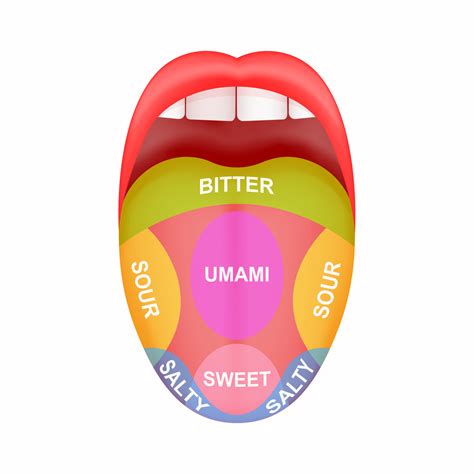 Taste Buds Myth