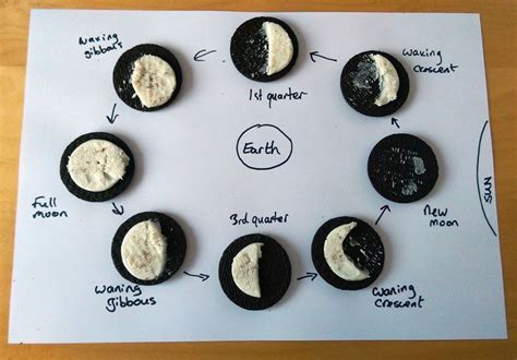 Tasty Oreo Phases Of The Moon Worksheet With Matching Moon Phases Worksheet Answers - Matching Moon Phases Worksheet Answers